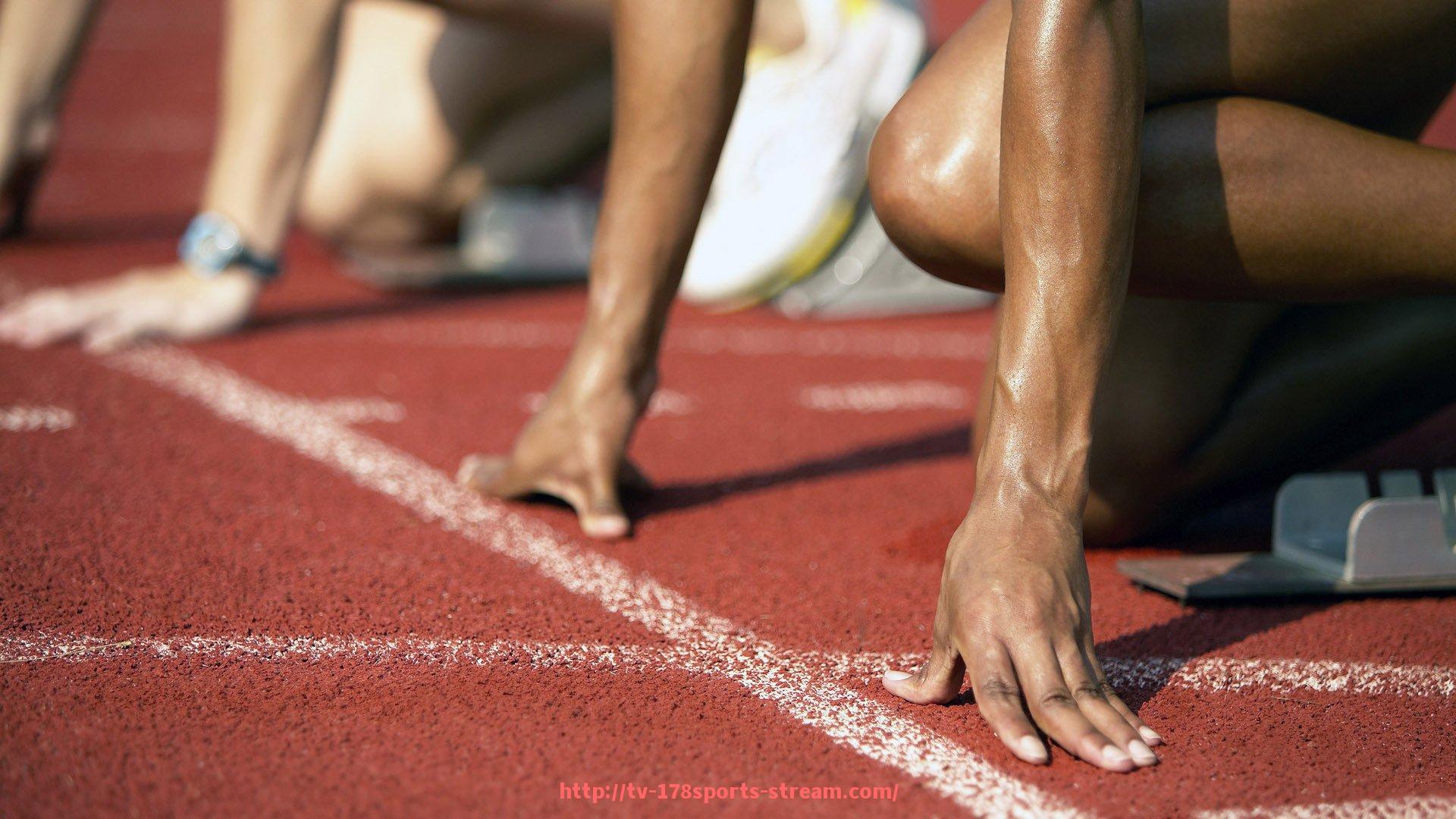 178体育直播-世俱杯球迷助威舞蹈表演内容大公开